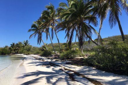 Neverland Island -Tour in Contoy